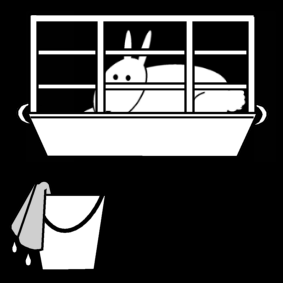 rabbit clean cage